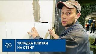 Как укладывать плитку большого размера на стены? Советы от опытного плиточника