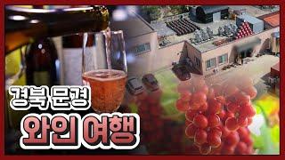 경북 문경 와인 여행 / 안동MBC 전국시대