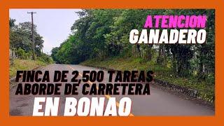 Finca de 2,500 tareas Aborde de carretera en Bonao