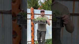 Не выбрасывайте старые трубы