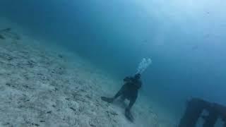 Cute Moray Eel Protecting his rock with star fish friend Dive 007 Ko Racha Yai Phuket Thailand