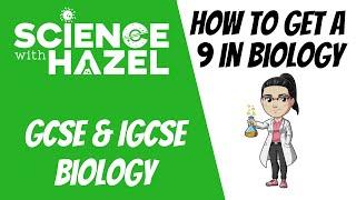 How To Get A 9 In Your Biology Exams | GCSE & IGCSE Biology