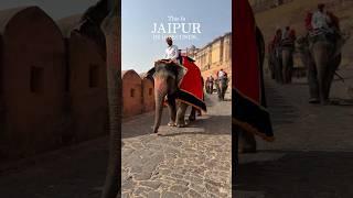 Jaipur in 10 Second ️