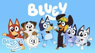 Bluey's Bestest Friends Theme Version  | Bluey's Bestest Friends - Official Channel