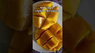 #애플망고
