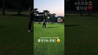 501화) 골프치고 싶어요  (feat. 조브로) #골프 #골프스윙 #golf #golfswing #골프레슨 #필드레슨 #골린이 #로리맥길로이 #드라이버 #아이언 #우드