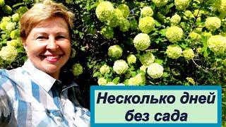 Четыре дня не была в саду. Как пережила такой момент?