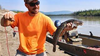 Riverside Camping & Summer Burbot Fishing