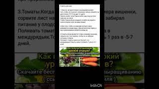 советы дачникам по огороду