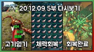 2020.12.09 / 아크서바이벌 이볼브드 생존 싱글 5부 - 코스님 다시보기