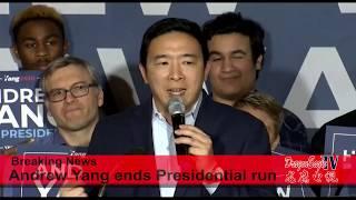 【时事要闻】华裔美国总统候选人杨安泽为何退出竞选？/Why Andrew Yang drops 2020 presidential run【龙鹰电视】