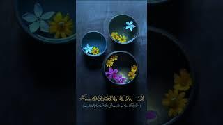 سلام بر تو و بر روزی که زیر پرچم ولایت تو جهان آباد خواهد شد.