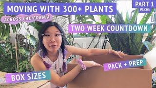 Preparing + packing houseplants, gathering boxes, planning | MOVING MY 300+ PLANT COLLECTION part 1