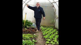 04/01/2025: always have salad, seedlings again