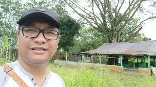 Makam Mbah Arya Jipang, Kec. Karangdadap, Kab  Pekalongan, belakang area Pondok Pesantren Darussalam