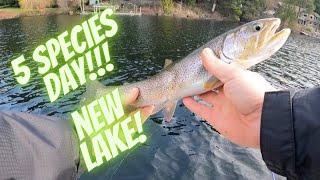 Fishing new lake 5 species day!!!