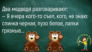  Винни-Пух Под Вечер Вваливается В Гости К Пятачку...Сборник Смешных Анекдотов!