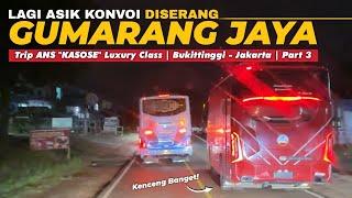 2 ANS LAGI SERU KONVOI, DISERANG GUMARANG JAYA‼️ - Trip ANS “Kasose” | Bukittinggi - Jakarta Part 3