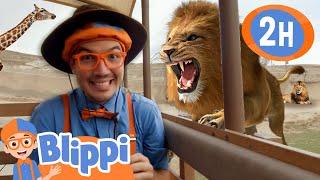 Blippi Explores a Safari Park! | BLIPPI | Educational Videos | Moonbug Kids