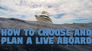 How To Choose And Plan A Liveaboard