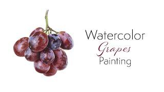 Paint realistic grapes with watercolors  how to mix colours and why layering is important 