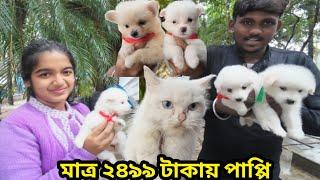 Naihati Dog Market | Naihati Pet Market Location | Recent Puppy price Update | Galiff Street Kolkata