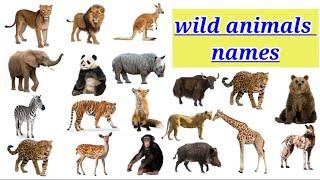 Wild animals name, English to Telugu wild animals name, wild animals vocabulary.