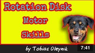 Rotation Disk - Motor Skills. IGP Online Academy by Tobias Oleynik.