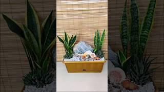 Snake Plants with Seashells Arrangement #plantdecor #snakeplant #tabledecor #seashells #arrangement