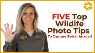 INSTANTLY IMPROVE Your Wildlife Photography!