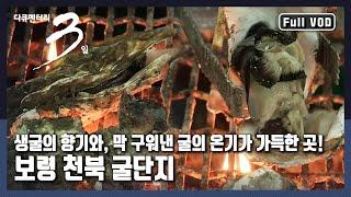 [다큐3일풀버전] 하루가 ‘굴’로 시작하고, 온 동네가 ‘굴’ 하나로 살아가는 "굴 익는 마을의 겨울맞이 - 보령 천북 굴단지 72시간" (KBS 20161218 방송)