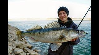 Zander im Ebro - Dicke Fische trotz Sturm!? Die Challenge in Spanien