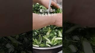 익으면 시원 아삭 최고 초보도 새댁이도 이대로면 열무 얼갈이물김치  대박