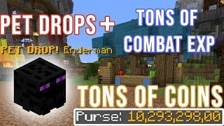 FASTEST WAY TO GET COMBAT EXP AND LEGENDARY ENDERMAN PET IN HYPIXEL SKYBLOCK