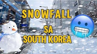 First Snowfall in South Korea 2024