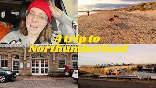 Northumberland Vlog | Travelling to Seahouses, visiting Alnwick, Barter Books, Beadnell & Bamburgh