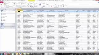 Microsoft Access Tips -- Object Views by Lisa Friedrichsen