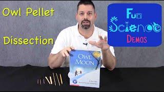 Owl Pellet Dissection & Owl Moon