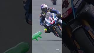 Crocodile at Assen?!  | #NLDWorldSBK 