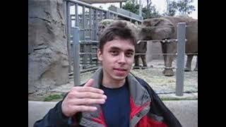 Q: Will YouTube CPMs rise after Google's break-up?