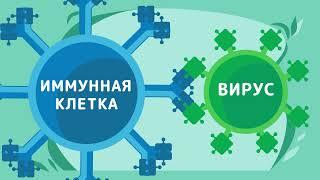 Как работает вакцина?