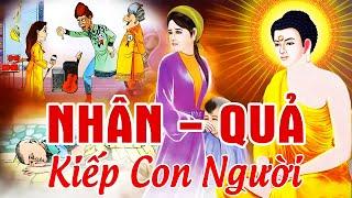 18 Chuyện Nhân Quả Đời Sống Kiếp Con Người, Nhân Quả Báo Ứng Có Thật | Luật Nhân Quả Không Chừa 1 Ai