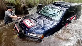 Snorkel Safari