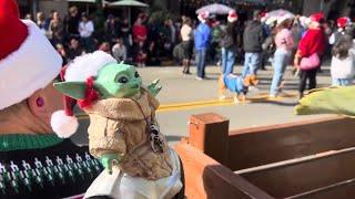 2024 San Diego Gaslamp Pet Parade & Battle Of The Marching Bands