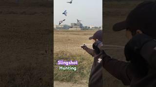 Mix Bird hunting slingshot hunting ideas #hunting #slingshot #youtubeshorts
