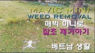 매빅 미니 영상 잡초 제거용으로 활용? 베트남 생활 드론 취미~ 빈즈엉