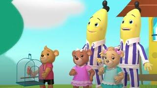 The Bananas And The Birds | Bananas In Pyjamas