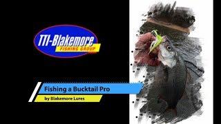 Fishing the Bucktail Pro Road Runners by Blakemore Lures featuring Brad Wiegmann