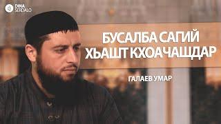 «Бусалба сагий хьашт кхоачашдар» — Галаев Умар