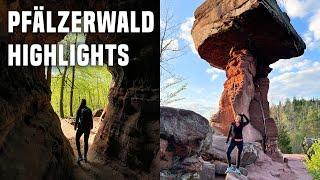 Pfälzerwald Sehenswürdigkeiten: Top-Highlights und schönste Orte